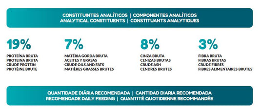 PETWORLD ADULTO 20KG