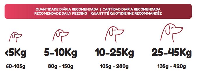 PETWORLD JUNIOR 20KG