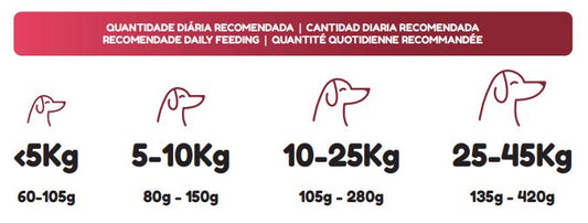 PETWORLD JUNIOR 20KG