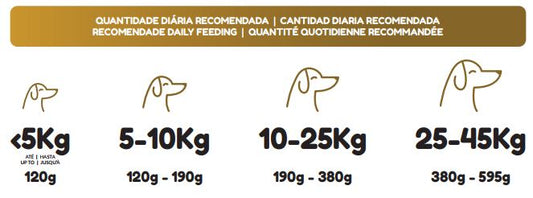 PETWORLD ADULTO MIX 20KG