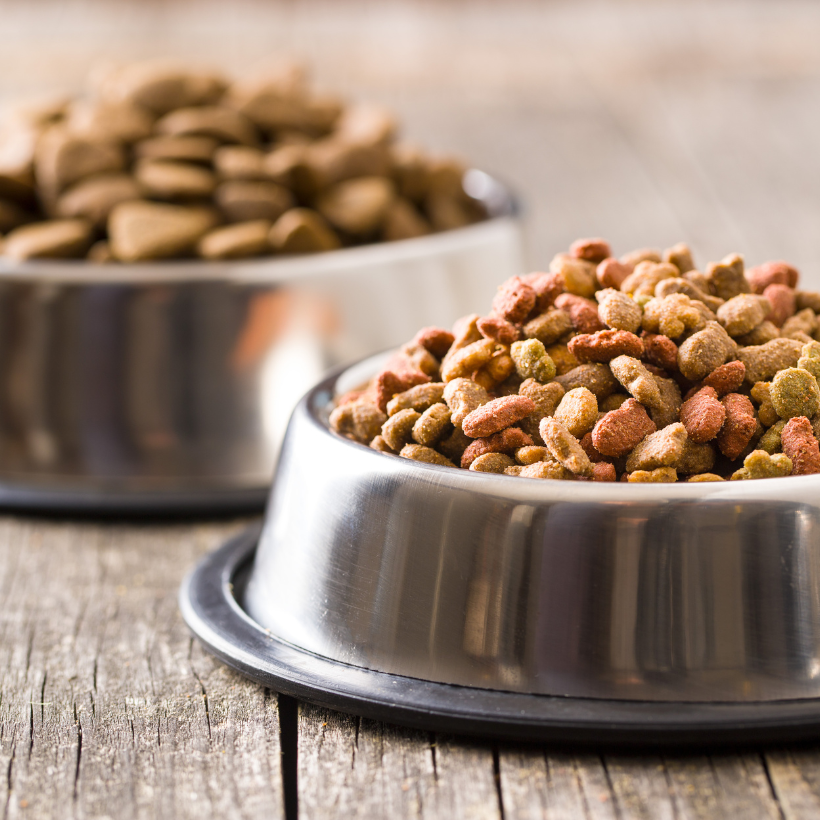 Alimentos de cão