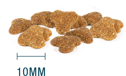 Internutri Vitality Gato 3kg