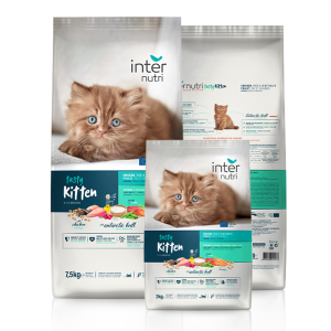 Internutri Tasty Gatinho 2kg