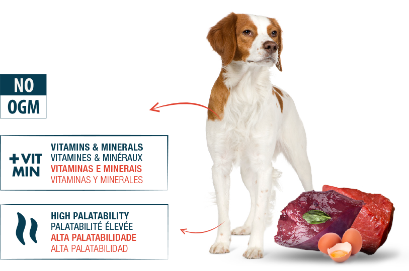 Internutri Muss Vaca e Fígado