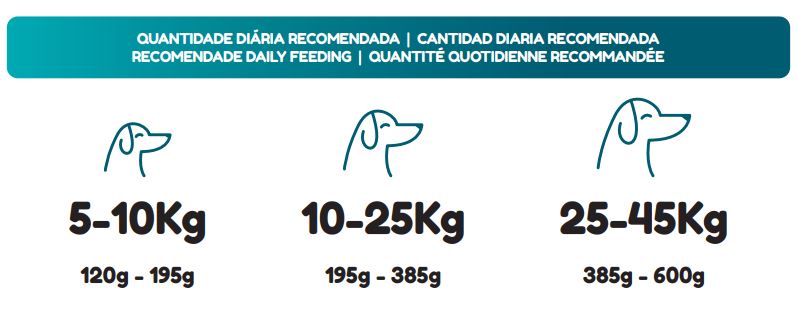 PETWORLD ADULTO 20KG