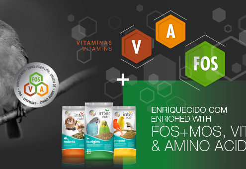 Internutri Psitacídeos Small 1Kg