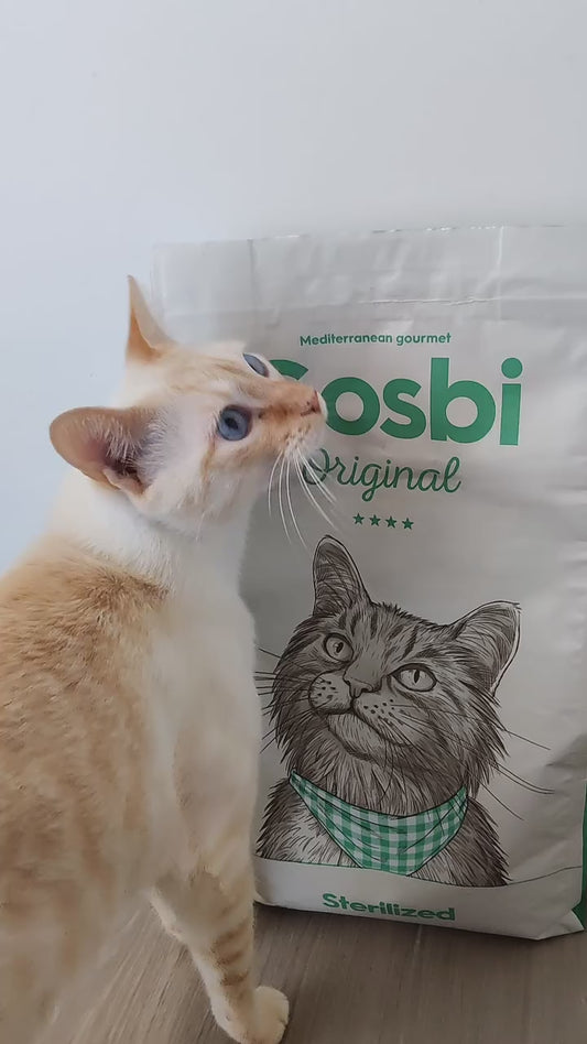 Original Gato esterilizado 1Kg