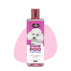 Shampoo e Condicionador Layca