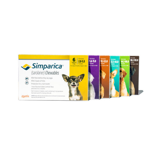 Simparica 2.5-5kg 1 CP