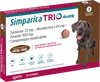 Simparica TRIO 40-60Kg 1CP